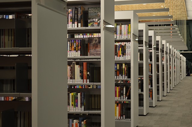 books on stacks in college library