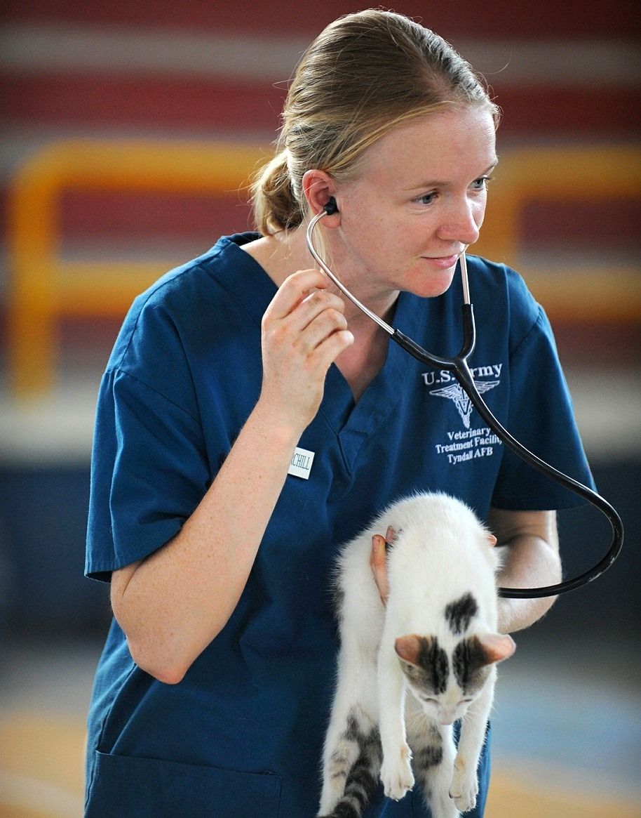 A veterinarian tech holding a cat